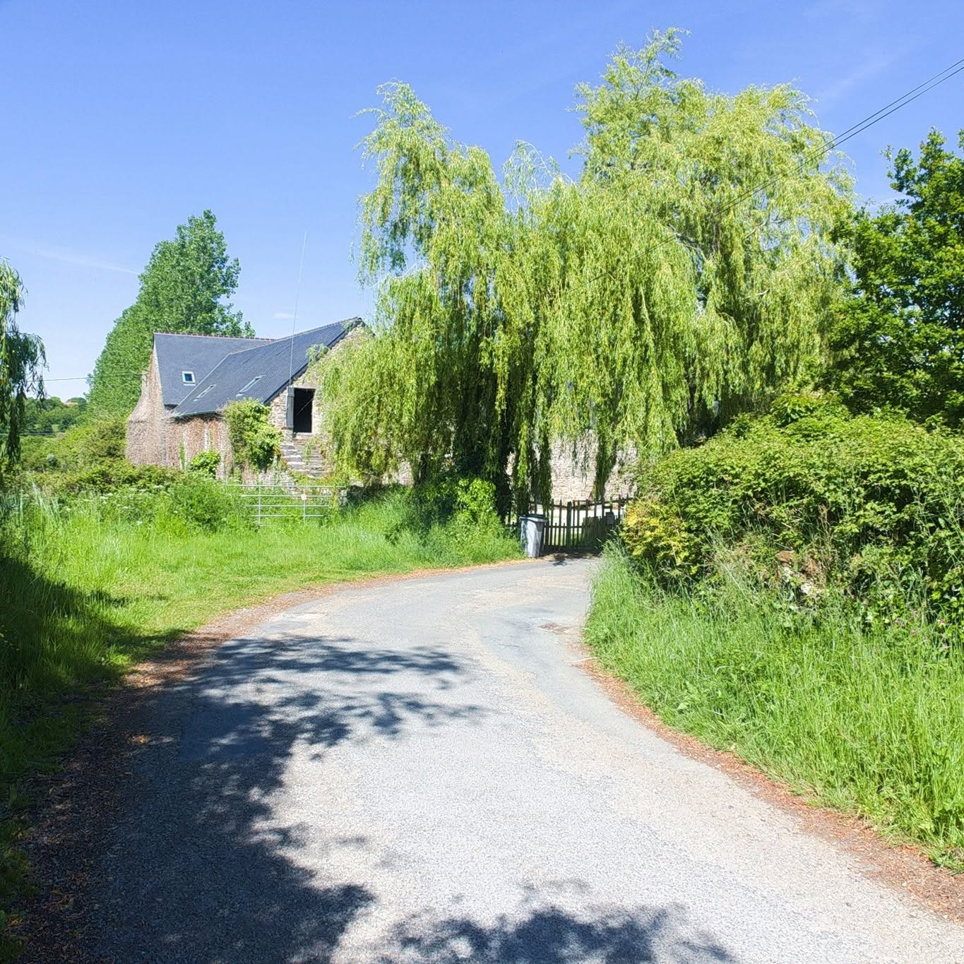 The grounds approaching the studio